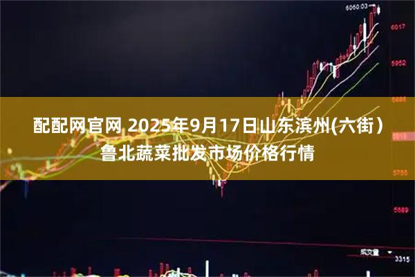 配配网官网 2025年9月17日山东滨州(六街）鲁北蔬菜批发市场价格行情