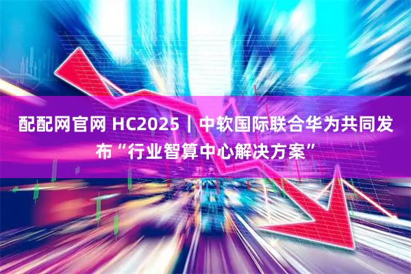 配配网官网 HC2025｜中软国际联合华为共同发布“行业智算中心解决方案”
