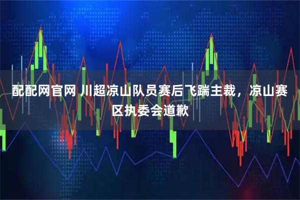 配配网官网 川超凉山队员赛后飞踹主裁，凉山赛区执委会道歉