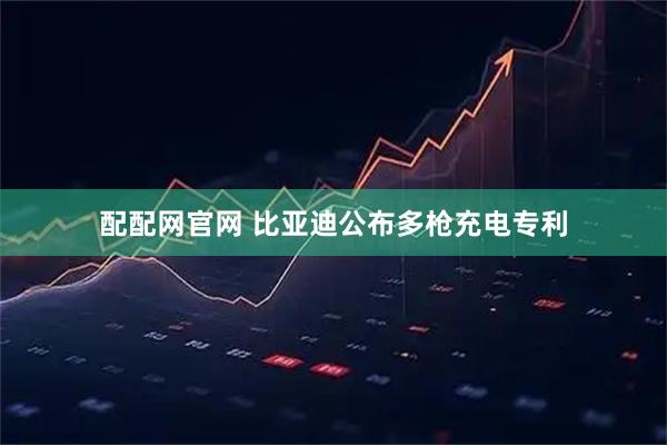 配配网官网 比亚迪公布多枪充电专利