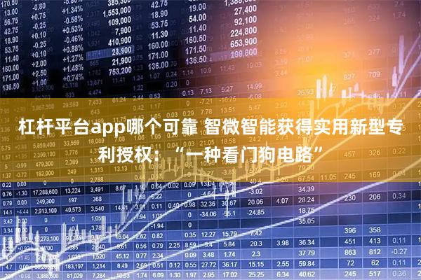 杠杆平台app哪个可靠 智微智能获得实用新型专利授权:“一种看门狗电路”