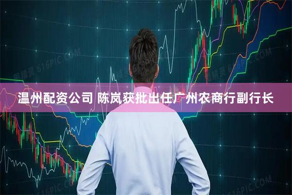 温州配资公司 陈岚获批出任广州农商行副行长